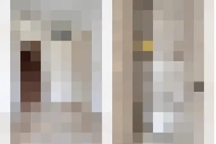 Dasseburcht 28 Oss thumbnail 7
