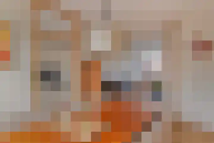 Dasseburcht 30 Oss thumbnail 11