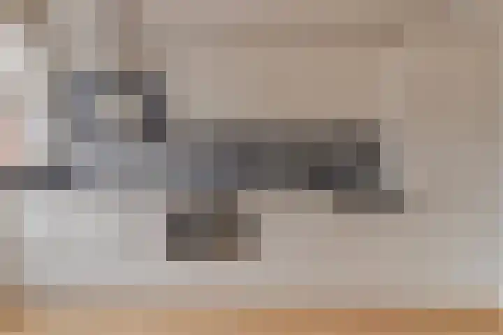 Dasseburcht 30 Oss thumbnail 12