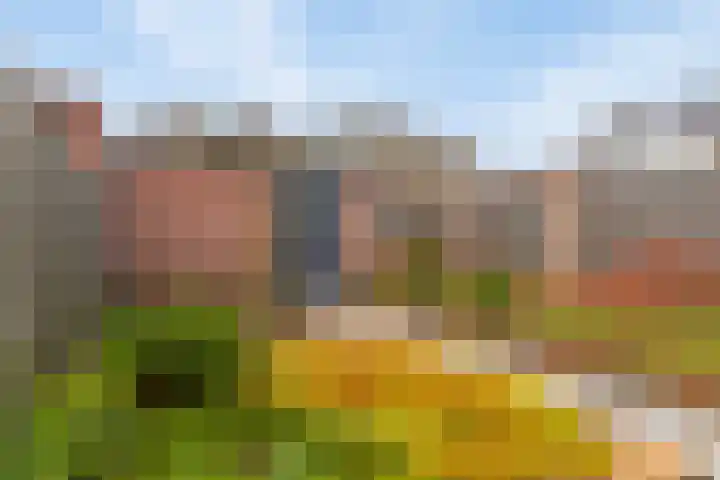 Dasseburcht 30 Oss thumbnail 24