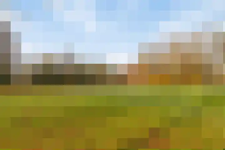 Dasseburcht 30 Oss thumbnail 26