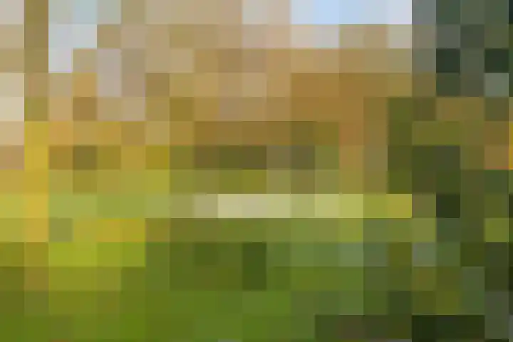 Dasseburcht 30 Oss thumbnail 27