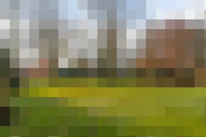 Dasseburcht 30 Oss thumbnail 28
