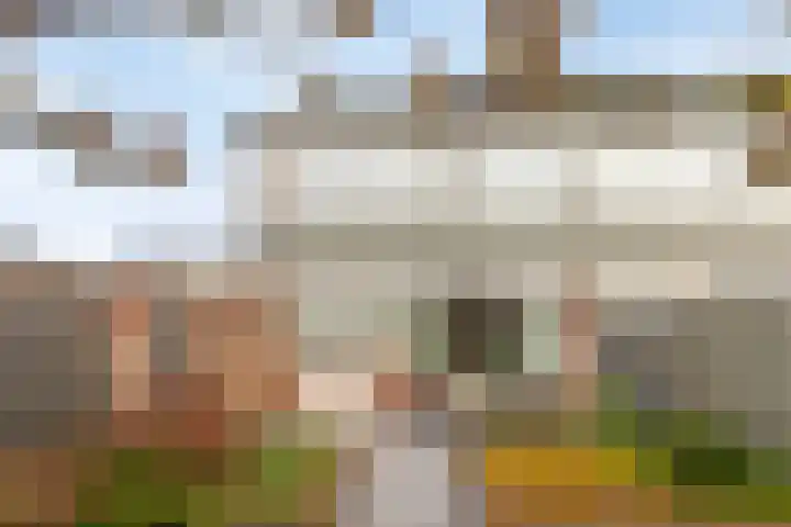 Dasseburcht 30 Oss thumbnail 4