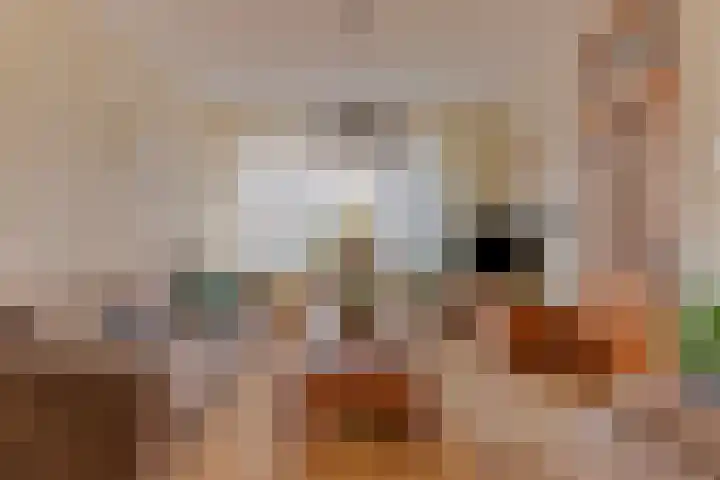 Dasseburcht 30 Oss thumbnail 7