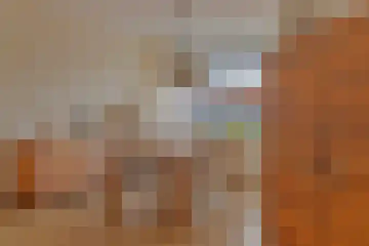 Dasseburcht 30 Oss thumbnail 9