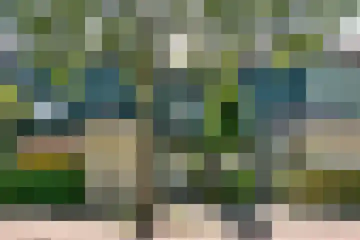 Dassenbos 214 Hoofddorp
