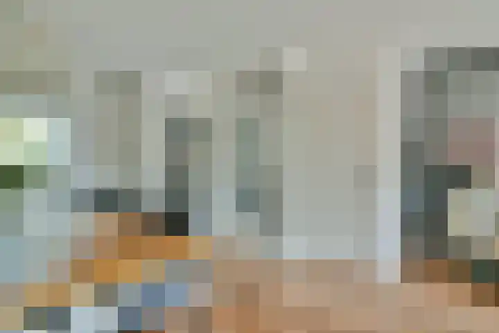 Dassenbos 214 Hoofddorp thumbnail 11