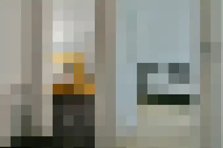 Dassenbos 214 Hoofddorp thumbnail 15