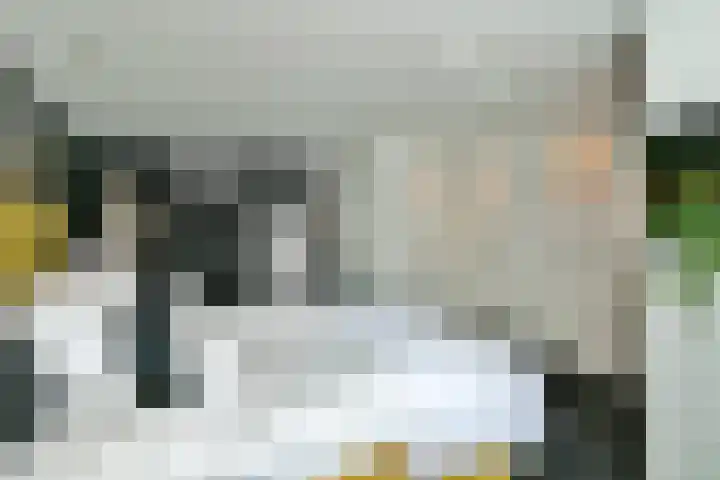 Dassenbos 214 Hoofddorp thumbnail 18