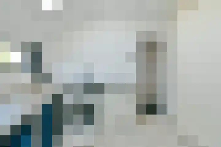 Dassenbos 214 Hoofddorp thumbnail 25