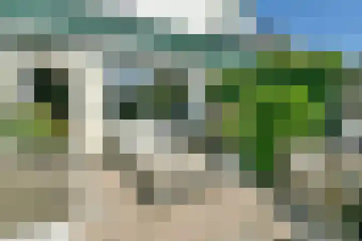 Dassenbos 214 Hoofddorp thumbnail 30