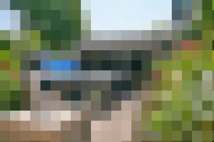 Dassenbos 214 Hoofddorp thumbnail 31