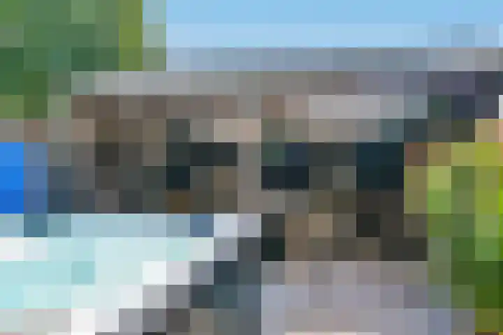 Dassenbos 214 Hoofddorp thumbnail 33