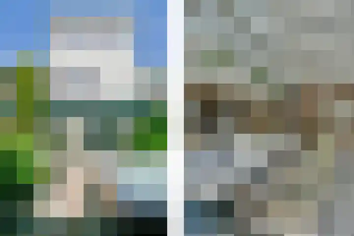 Dassenbos 214 Hoofddorp thumbnail 34