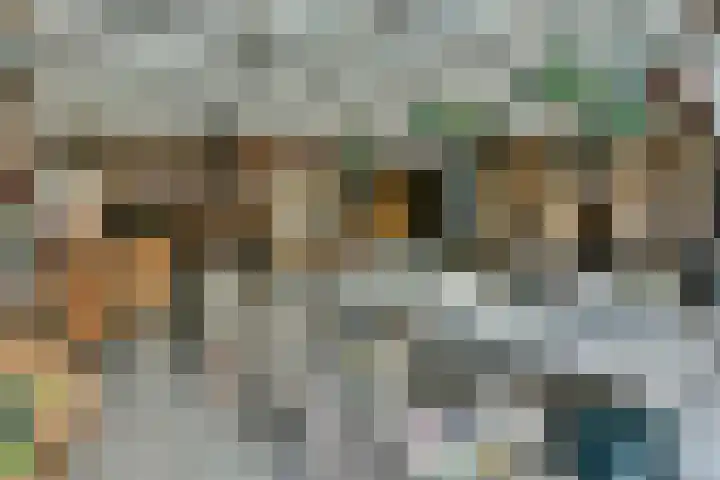 Dassenbos 214 Hoofddorp thumbnail 36