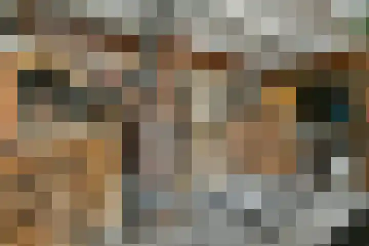 Dassenbos 214 Hoofddorp thumbnail 37