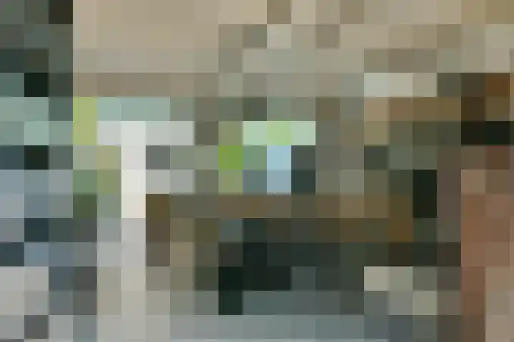 Dassenbos 214 Hoofddorp thumbnail 39