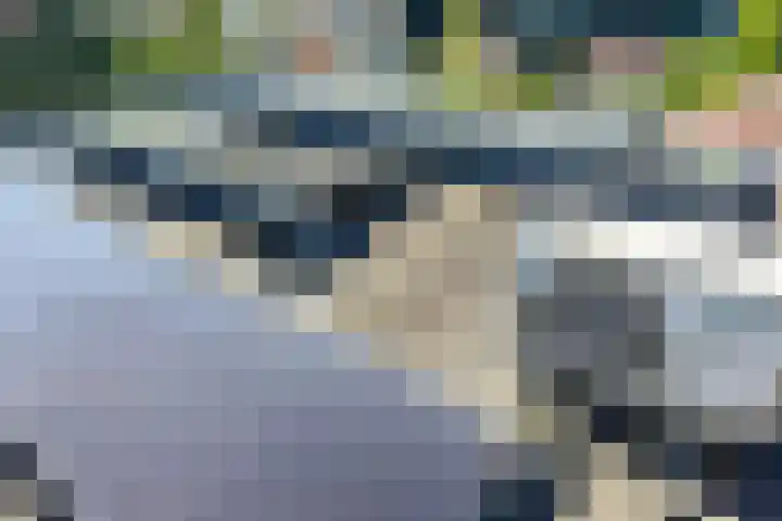 Dassenbos 214 Hoofddorp thumbnail 41