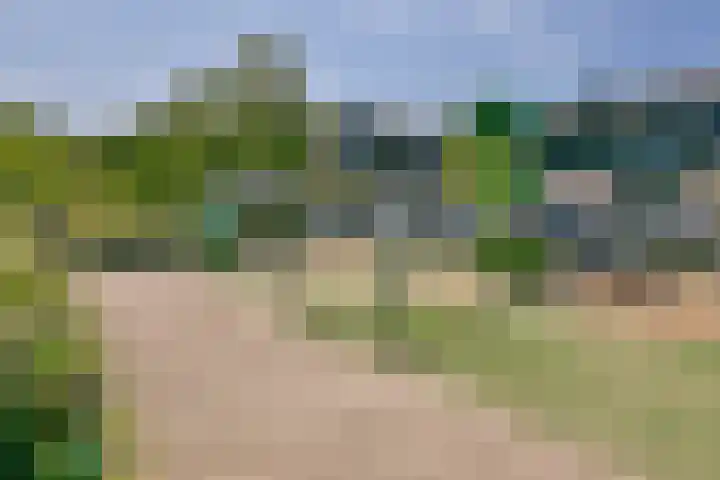 Dassenbos 214 Hoofddorp thumbnail 44