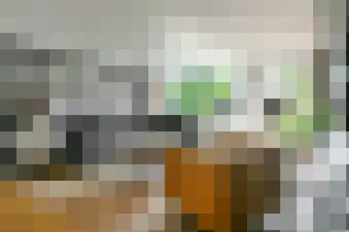 Dassenbos 214 Hoofddorp thumbnail 5