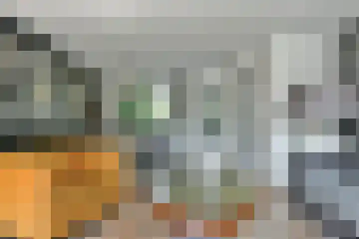 Dassenbos 214 Hoofddorp thumbnail 7
