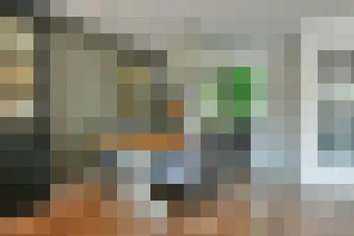 Dassenbos 214 Hoofddorp thumbnail 9