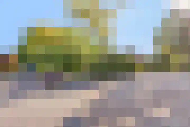 Dassenburcht 11 Beek thumbnail 32