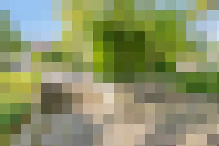 Dassenburcht 11 Beek thumbnail 33