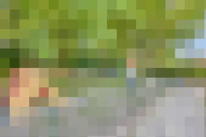 Dassenburcht 11 Beek thumbnail 34