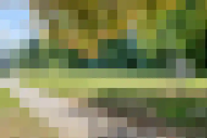Dassenburcht 11 Beek thumbnail 35