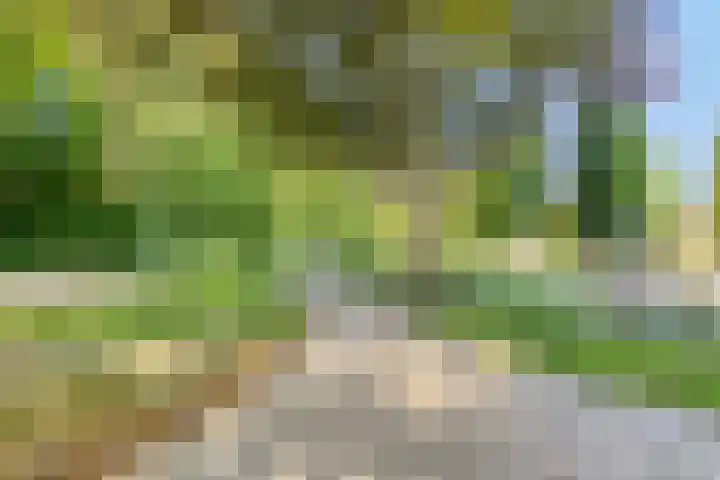 Dassenburcht 11 Beek thumbnail 36