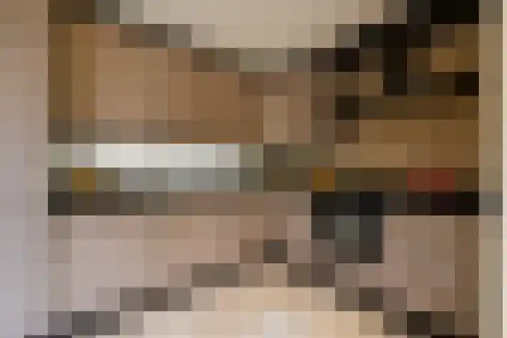 Dassenburcht 8 Gilze thumbnail 10