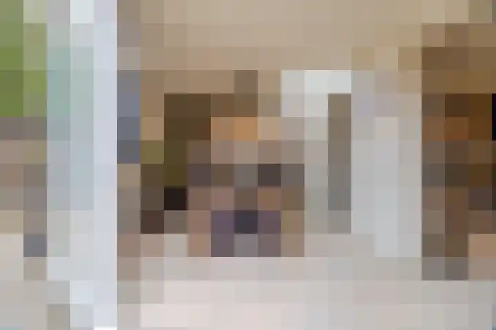 Dassenburcht 8 Gilze thumbnail 14