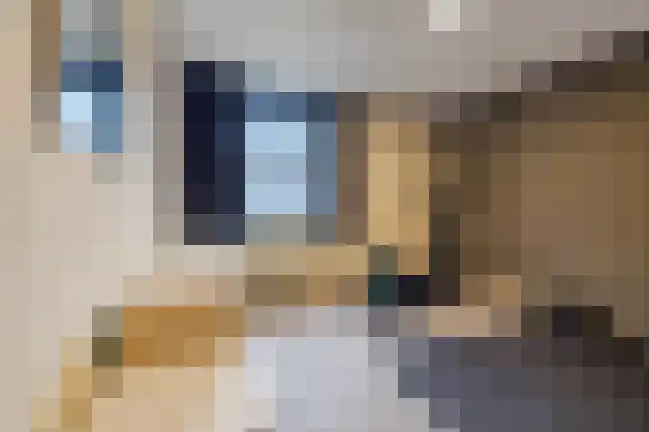 Dassenburcht 8 Gilze thumbnail 28