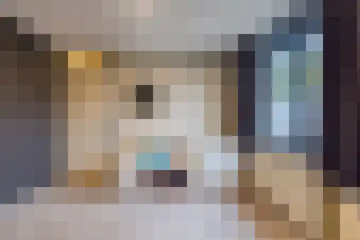 Dassenburcht 8 Gilze thumbnail 30