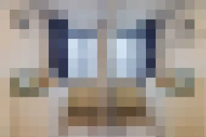 Dassenburcht 8 Gilze thumbnail 32
