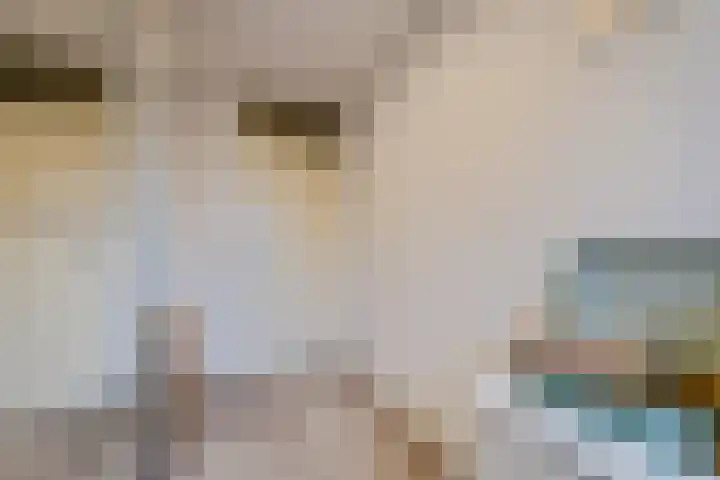Dassenburcht 8 Gilze thumbnail 33