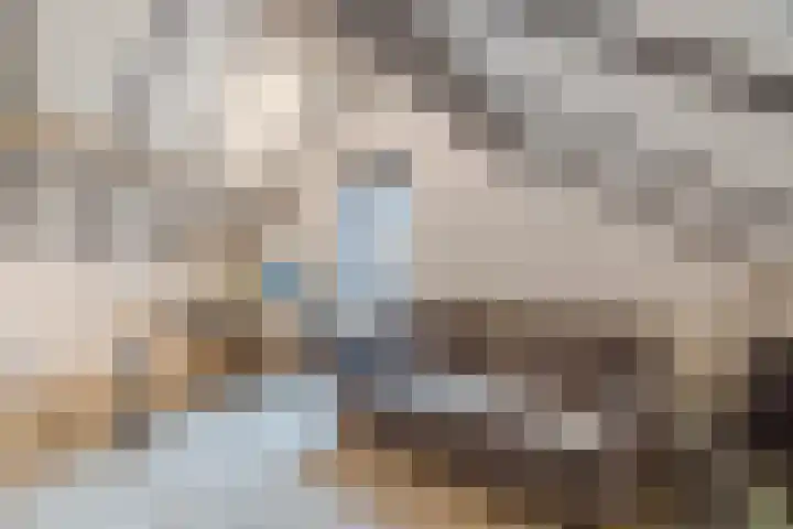 Dassenburcht 8 Gilze thumbnail 39