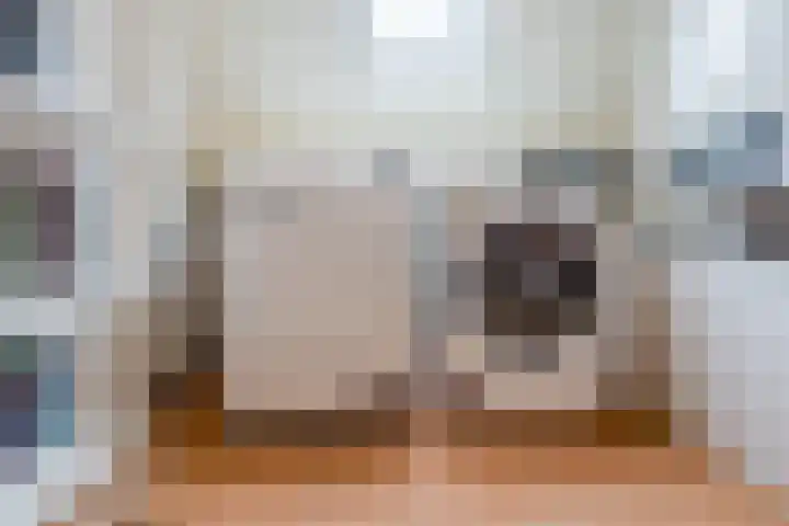 Dassenburcht 8 Gilze thumbnail 43