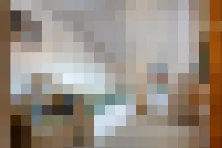 Dassenburcht 8 Gilze thumbnail 46