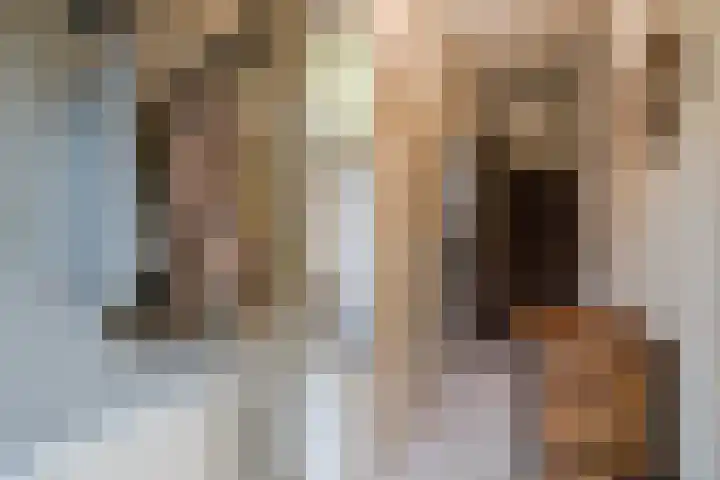 Dassenburcht 8 Gilze thumbnail 5