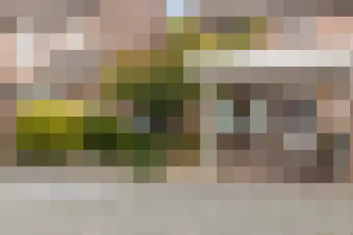 Dassenburcht 8 Gilze thumbnail 51