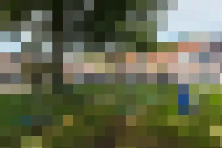 Dassenburcht 8 Gilze thumbnail 58