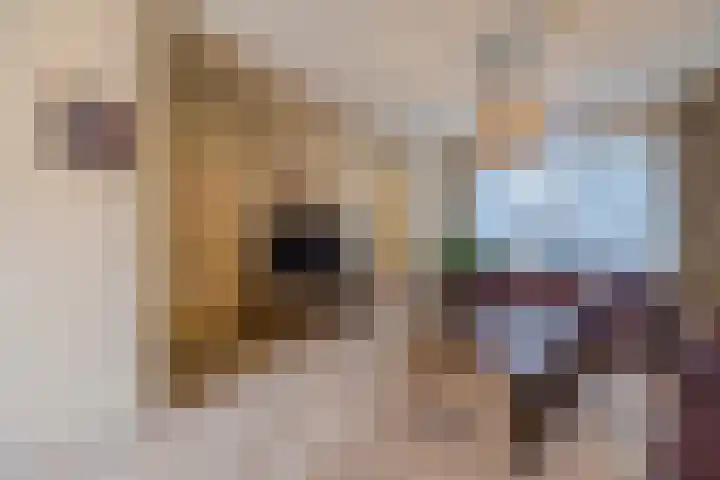 Dassenburcht 8 Gilze thumbnail 8