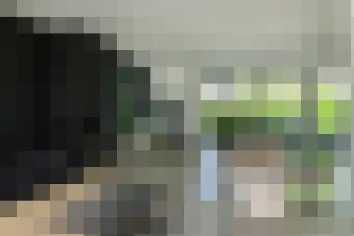 Dassenlaar 10 Bavel thumbnail 12