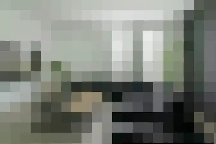 Dassenlaar 10 Bavel thumbnail 13