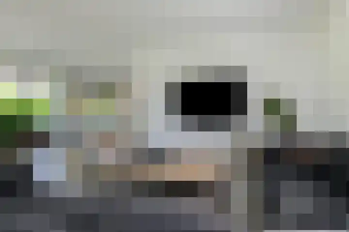 Dassenlaar 10 Bavel thumbnail 16