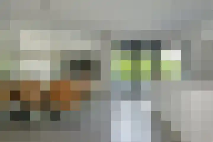 Dassenlaar 10 Bavel thumbnail 20