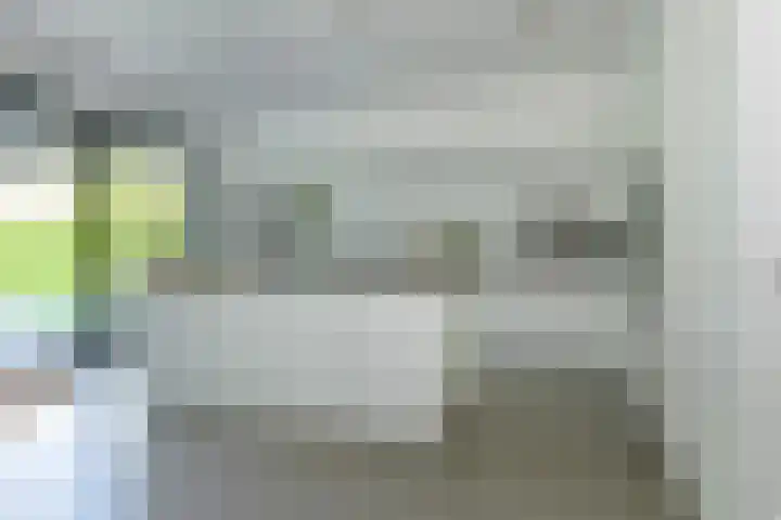 Dassenlaar 10 Bavel thumbnail 25